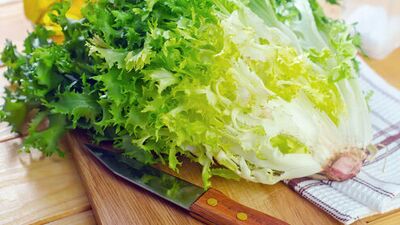 Hindibanın faydaları