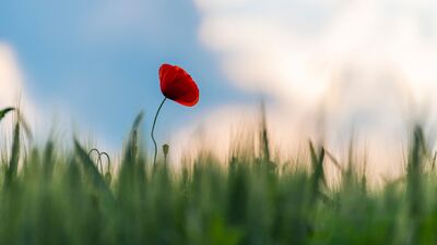 Öz güveninizi yükseltecek 7 öneri