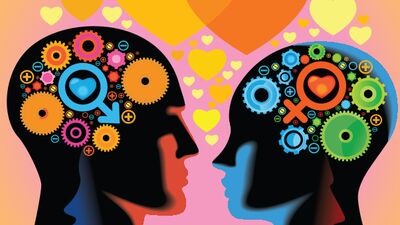 Kadın ve erkek beyninin farklılıkları