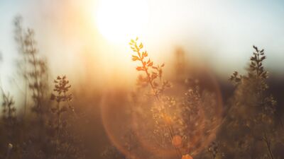 Gününüzü güzelleştirmek için 15 yol