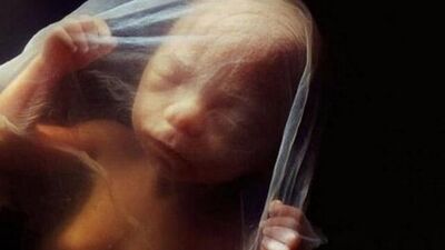 Bebeğin anne karnındaki muhteşem gelişimi