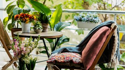 Bu sebze ve meyveler balkonda yetişiyor