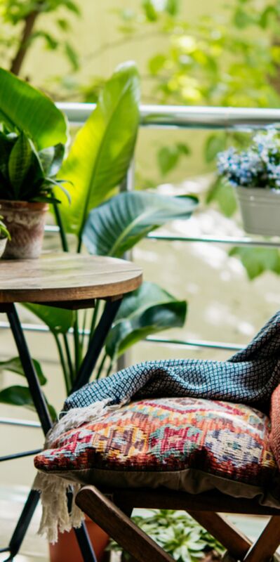 Bu sebze ve meyveler balkonda yetişiyor