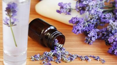 Ölü derinizi lavantayla atın