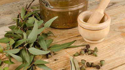 Selülite karşı okaliptüs yağı