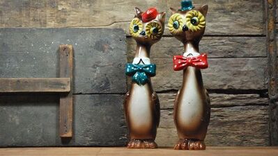 Binbir çeşit tuzluk