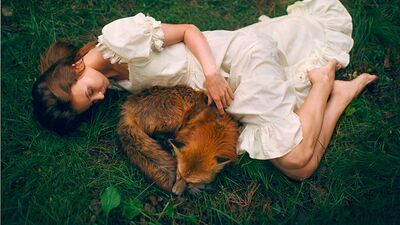 Hayvan ve insan dostluğu