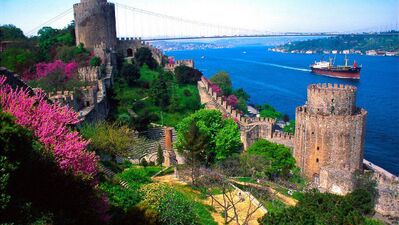 Şimdi erguvan zamanı...