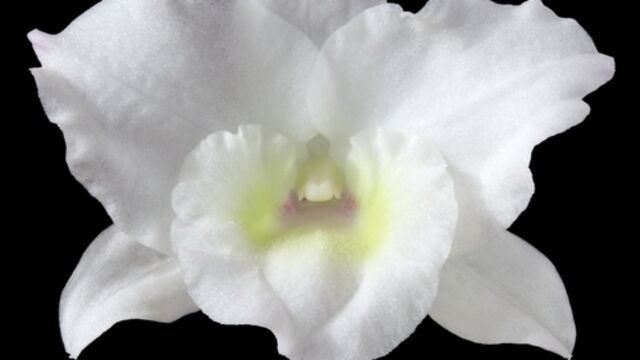 Perine masajı nasıl yapılır?