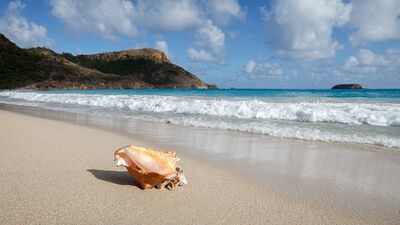 Doğa harikası 100 plaj