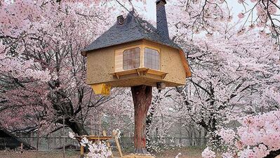 Hayallerinizi süsleyen masal evleri