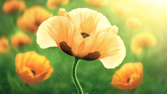 Günlük hayatınızı güzelleştirecek 10 öneri