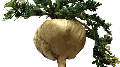 Kısırlık için mucizevi bitki 'maca'nın faydaları…