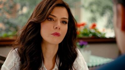 Dila Hanım dizinin 61. bölümünde neler oluyor?