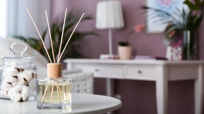 Bu ürünleri evinizden uzak tutun