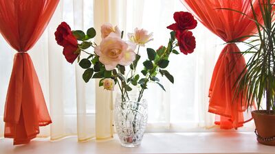 Evlerde bahar havası...