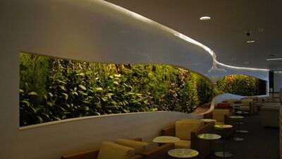 Duvarlar bahçe olursa...