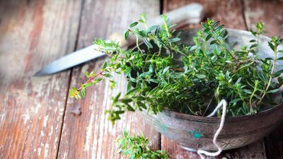 Kekik ve kekik yağının faydaları