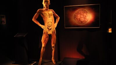 "The Human Body" sergisi