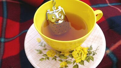 En ilginç çay süzgeçleri