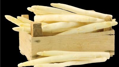 Kuşkonmaz Anadolu'ya geri döndü!