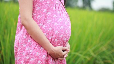 Müge'nin Gebelik Günlüğü'nde 31. hafta