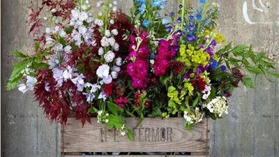 30 inanılmaz bahçe fikri