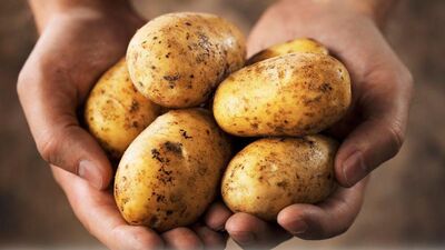 Patatesin faydaları