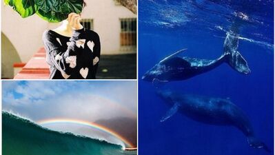 İnsanı Hawaii'ye taşıyan görüntüler