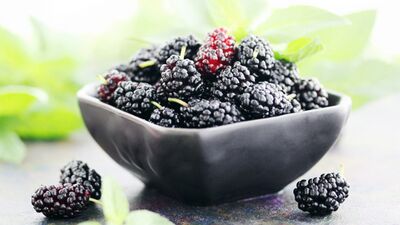 Mikrop öldürücü dutun faydaları