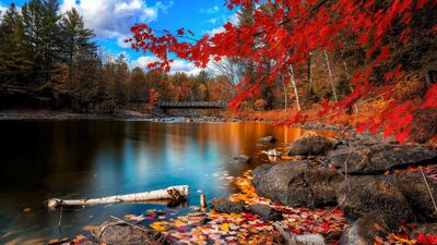 Rengarenk doğa manzaraları