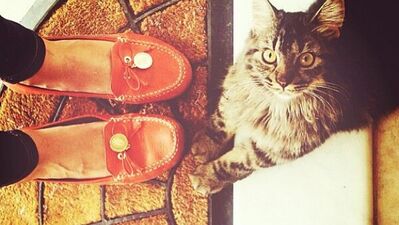 Burcu Esmersoy'un ayakkabıları