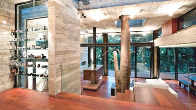 İçinden ağaç geçen evler