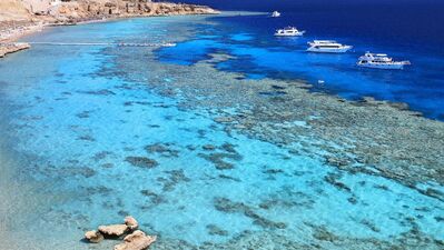 Tatil cenneti Sharm el Sheikh
