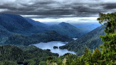 Yağmur ormanlarının bilinmeyen özellikleri