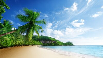 Cennetin keşfi: Karayip Adaları