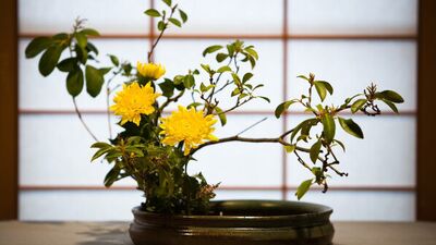 Çiçek düzenlemek bir sanattır...