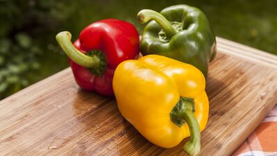 Dolmabiberin faydaları