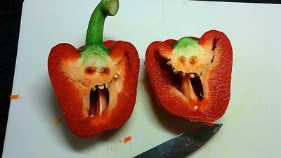 Dolmabiberleri hiç böyle görmediniz