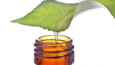 İşte doğal sivrisinek kovucu!