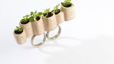 En canlısından bitki bilezikler