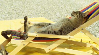 Adaplı eğlenme yolları!