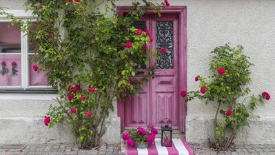 Rengârenk kapılar