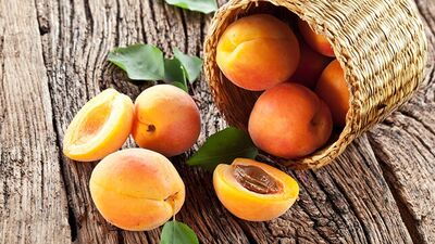 Vücuda enerji veren kayısının faydaları