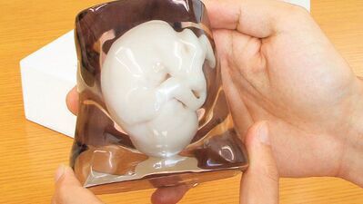 Doğmamış bebeğin maketi