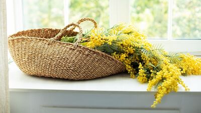 Mutluluğunuzu test edin