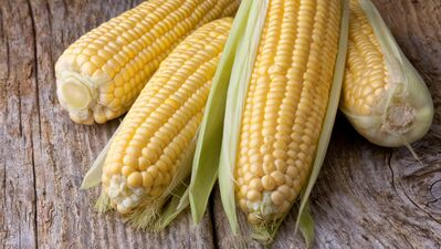 Stresi azaltan mısırın faydaları