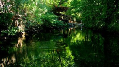 Kaz Dağları o kadar yeşil ki...