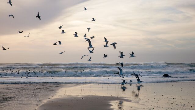 İnanır ve çabalarsanız, her şey mümkün!