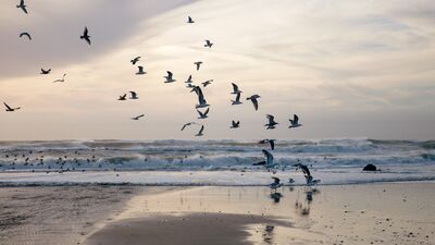 İnanır ve çabalarsanız, her şey mümkün!